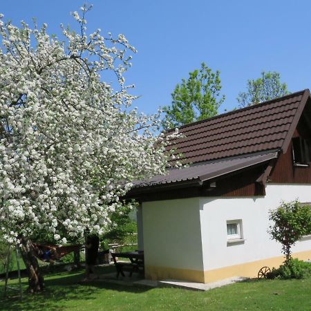 Villa Pocitniska Hiska Jager Cezsoca Esterno foto
