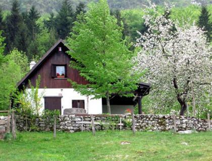 Villa Pocitniska Hiska Jager Cezsoca Esterno foto