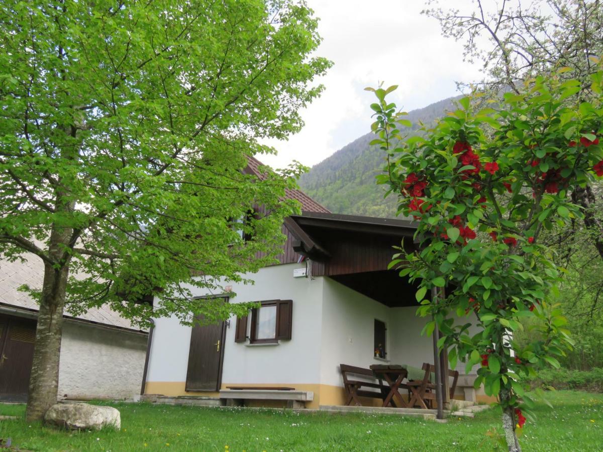 Villa Pocitniska Hiska Jager Cezsoca Esterno foto