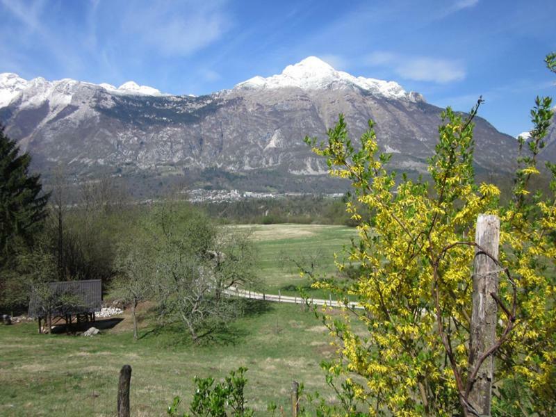 Villa Pocitniska Hiska Jager Cezsoca Esterno foto